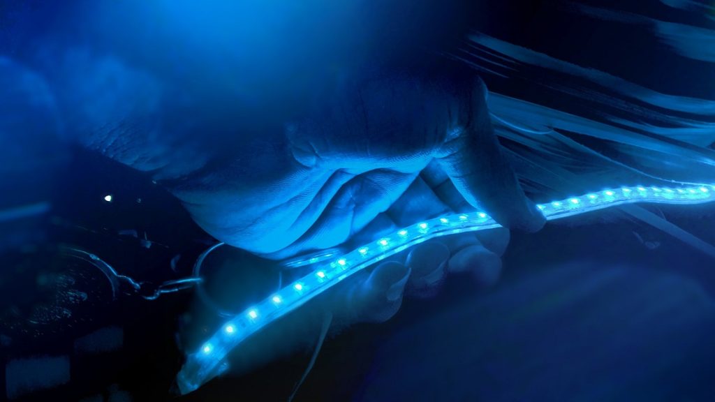 Person befestigt blau leuchtende LED Stripes.