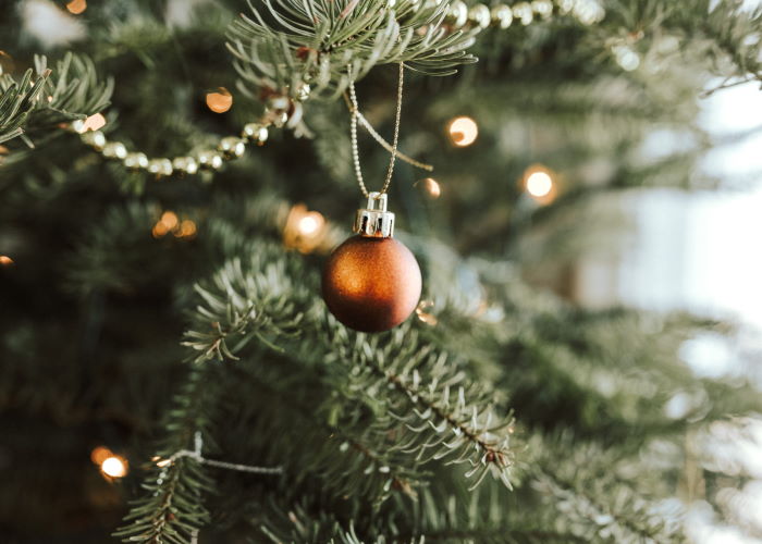 Bola de Navidad y otros adornos del árbol en primer plano